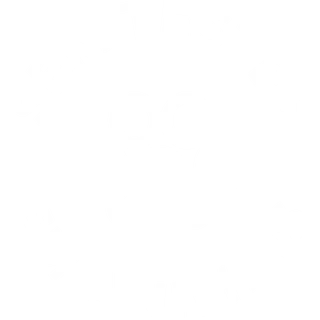 Sem testes em animais